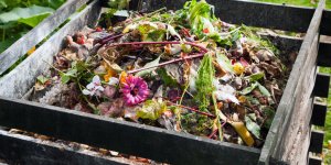 Compost : 7 astuces pour se débarrasser des mauvaises odeurs 
