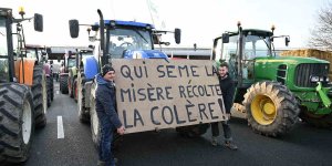 Colère des agriculteurs : qui sont les visages qui incarnent le mouvement de révolte ? 