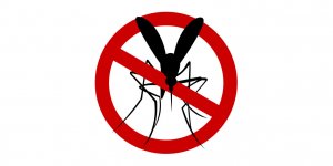 Rappel de pièges à insectes dangereux : tous les magasins concernés 