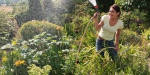 Sécheresse : 6 astuces pour réduire la consommation d’eau de votre jardin