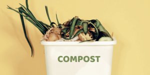 Compost : 8 différents types de compostage en fonction de vos besoins