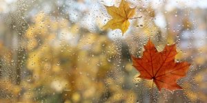 Pluie la semaine prochaine : les départements où l’automne arrive