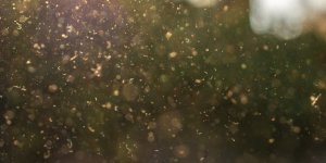 Pollen : nos astuces pour survivre à cette alerte rouge