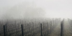 Météo de lundi et mardi : les départements dans le brouillard