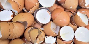 Coquilles d'œuf : 6 astuces pour les recycler