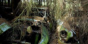 Photos : découvrez cet étrange cimetière de voitures abandonnées en Belgique