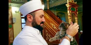 EN IMAGES Pour l'hiver, un imam turc accueille les chats errants dans sa mosquée
