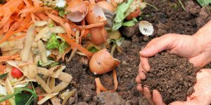 Compost : les 6 erreurs à ne surtout pas faire