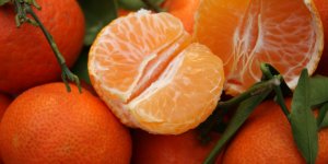 Clémentine : quelles différences avec la mandarine ? 