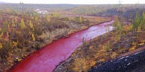 EN IMAGES Une rivière devient complètement rouge en Sibérie !