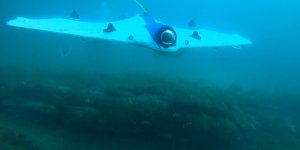 Ce drone sous-marin part à la chasse aux trésors