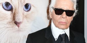 Karl Lagerfeld : découvrez la vie de rêve de sa chatte Choupette Lagerfeld