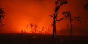 Incendies de l'été : "90 % des feux sont d'origine humaine"