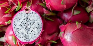 Fruit du dragon (pitaya) : quels sont ses bienfaits et comment se mange-t-il ?