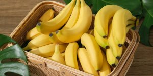 Quels aliments sont particulièrement riches en potassium ?
