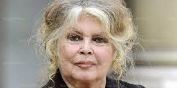 Brigitte Bardot : son tacle cinglant envers Nicolas Hulot
