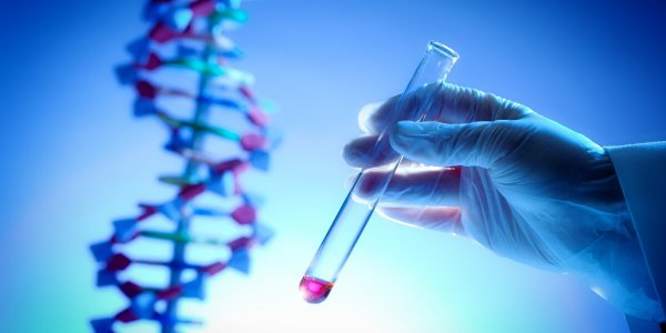 L'ADN à la découverte de vos origines : ce que les tests révèlent