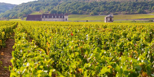  Bourgogne Franche-Comté : quels patois dans la région ?