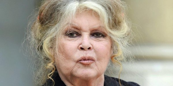 Brigitte Bardot raccroche au nez de Nicolas Hulot