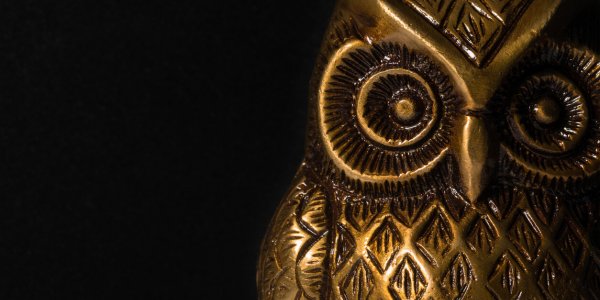 La chouette d'or : un trésor jamais trouvé depuis 1993 et qui continue de faire rêver