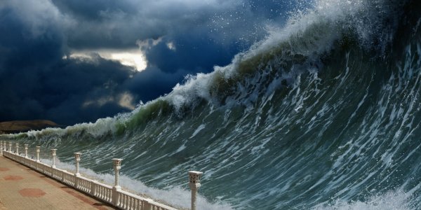 SMS alerte tsunami : voici les 11 communes concernées par le test ce vendredi 