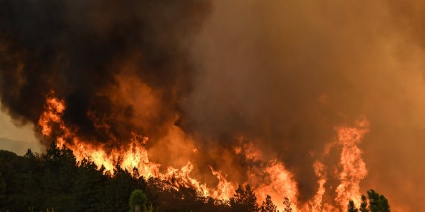 Bretagne : le Morbihan et le Finistère touchés par les incendies