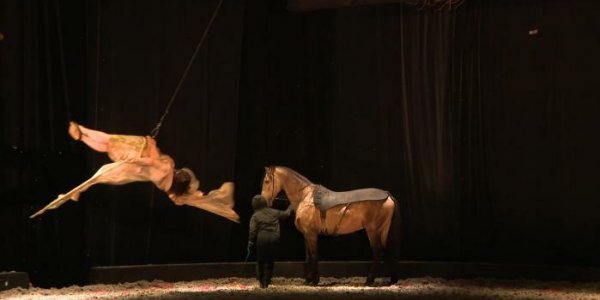 "Métamorphoses", un spectacle équestre poétique sur le temps qui passe, a fait une halte à Vesoul