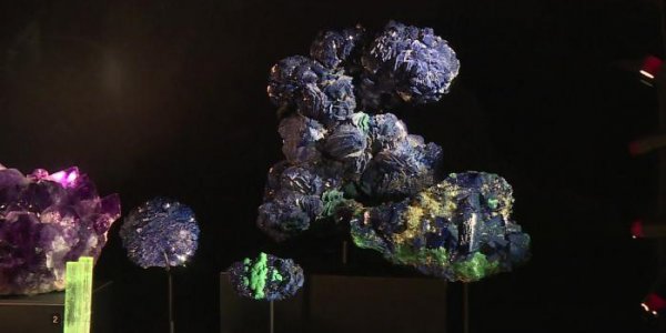 Pierres et minerais précieux : les "Secrets de la Terre" dévoilés au musée des Confluences de Lyon