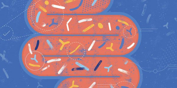 Peut-on vraiment améliorer sa santé intestinale avec des probiotiques ? La réponse de ce gastro-entérologue va vous surprendre
