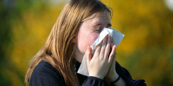 Allergies aux pollens : "On a l'impression qu'il y a une modification des saisons polliniques au fur et à mesure que le climat évolue", constate une allergologue