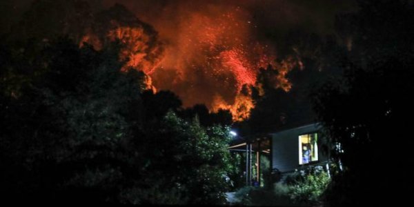 Chili : plus de 200 incendies de forêt ont fait au moins 13 morts