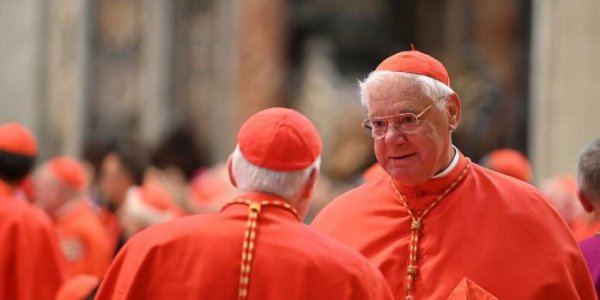 Vatican : un cardinal égratigne le pape François dans un livre au vitriol