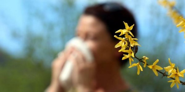 Pollens : comment réagir et se protéger en cas d'allergie ?