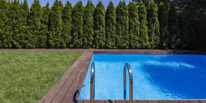 Piscine autoportante, piscine en bois, piscine coque : comment choisir en fonction de votre budget ?