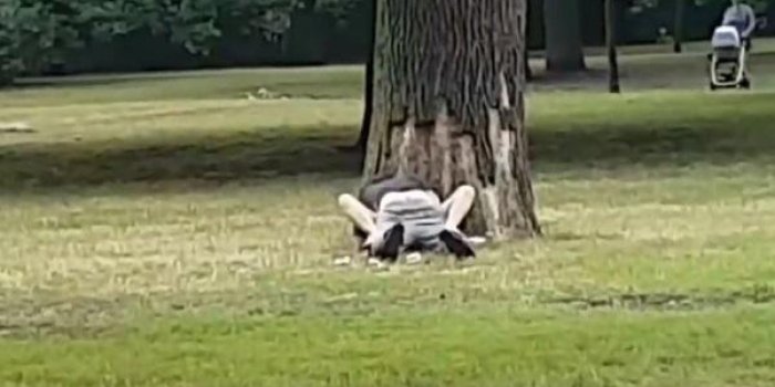 Berlin : ils attirent les curieux en faisant l'amour dans un parc !