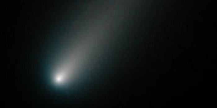 Ison : la "comète du siècle" visible à l’œil nu 
