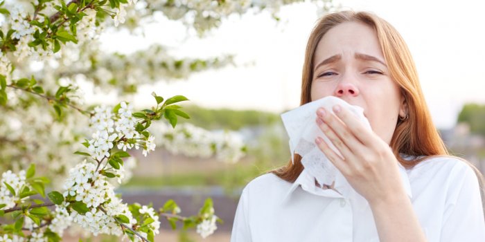Allergies au pollen : la moitié de la France en alerte rouge