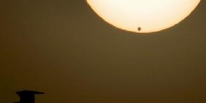 Terre, Vénus, Soleil : un alignement exceptionnel !
