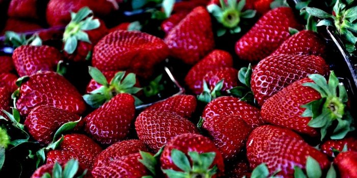 Pourquoi il pourrait ne pas y avoir de fraises cette année ?
