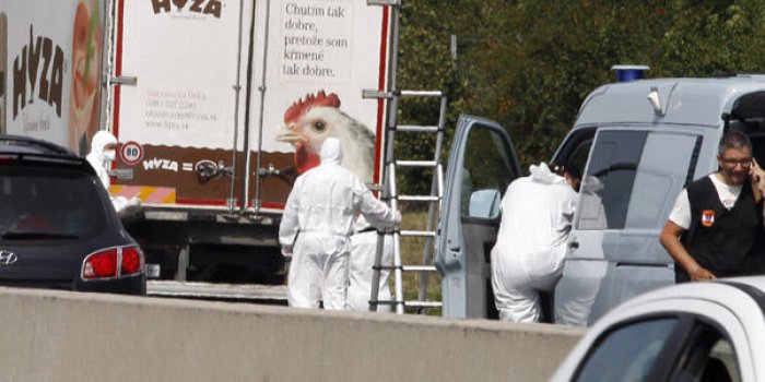 Autriche : plus de 70 corps de migrants découverts dans un camion