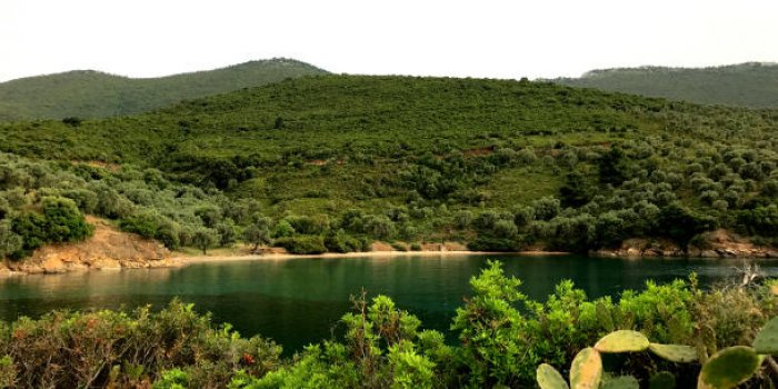 Montagnes, villages traditionnels et plages de rêve : découvrez le Mont Pélion en Grèce