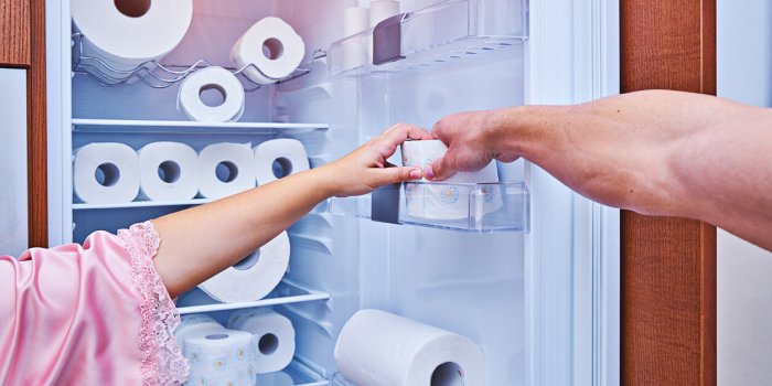Astuce cuisine : pourquoi vous devriez mettre du papier toilette dans votre frigo