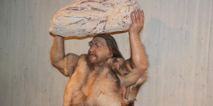 Gibraltar : l'homme de Néandertal, artiste de l'abstrait ?
