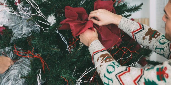 En plastique, en bois, couvert de neige… Quel sapin devriez-vous choisir pour Noël ?