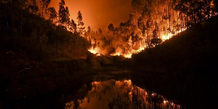 Portugal : un gigantesque feu de forêt fait 43 morts