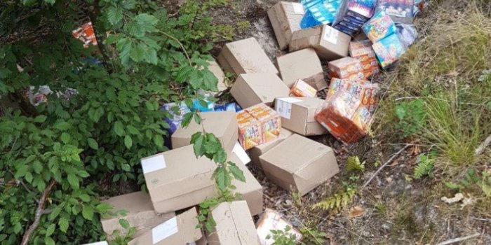 Nord : des centaines d'aliments Carrefour abandonnés dans une forêt