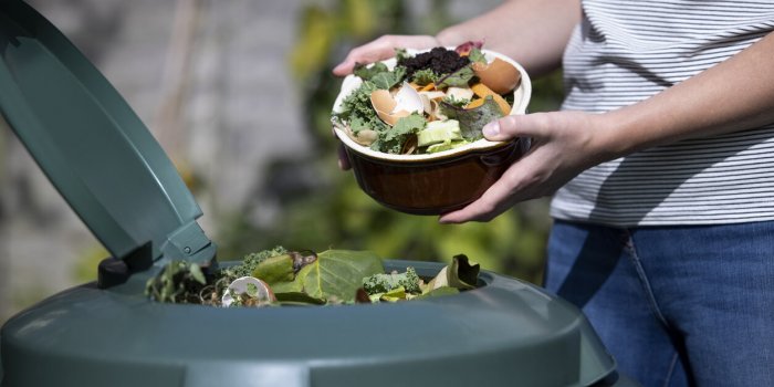 Les 9 aliments &agrave; ne jamais mettre au compost