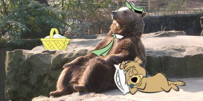 Cet ours se pr&eacute;lassant au soleil inspire les internautes !