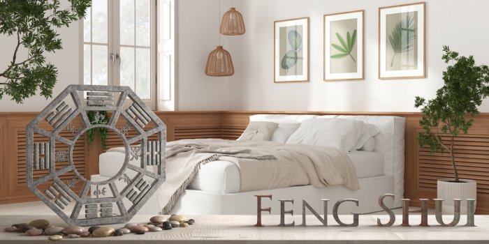 Feng Shui : les 5 plantes &agrave; mettre dans votre chambre pour bien dormir