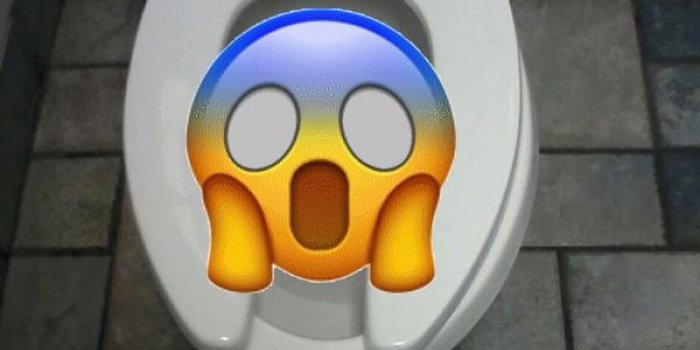 Photos : ces choses horribles d&eacute;couvertes dans les toilettes !